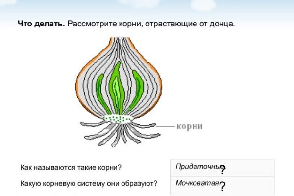 Kraken ссылка зеркало рабочее