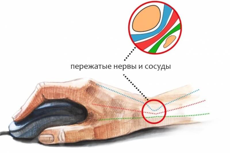 Ссылка на кракен krakens13 at